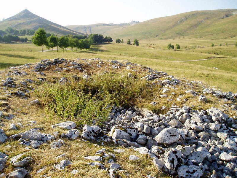 Pagobakoitza trikuharria