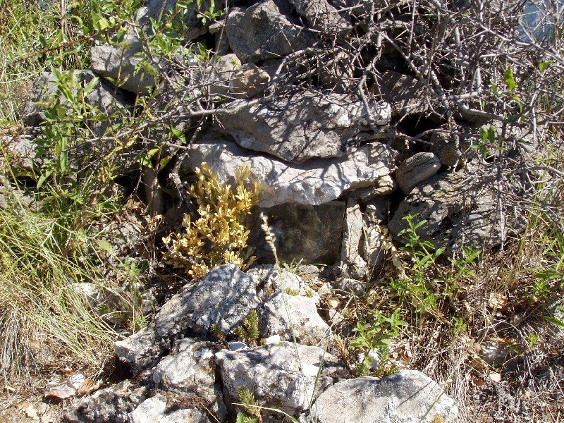 Baselizatik hurbil, jaiotza ttiki bat