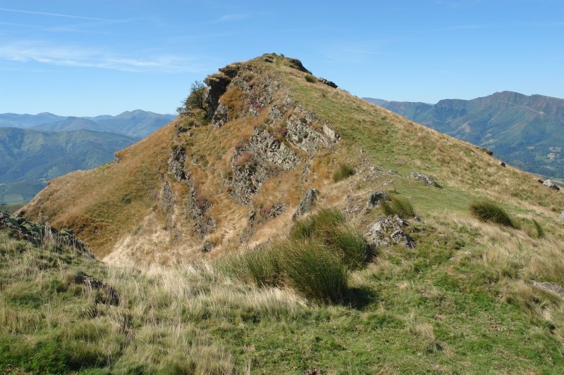 Tontorra Iparraldetik