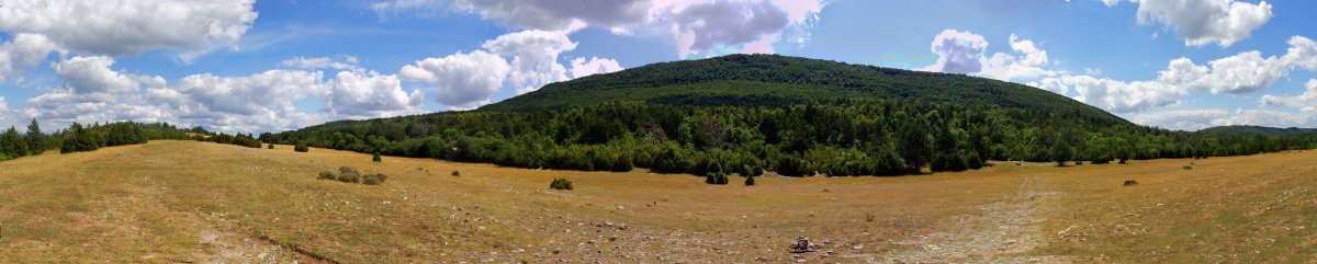 Legarozko belardiak eta Borreguil