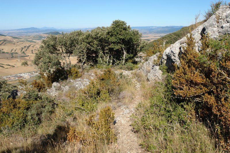 San Bernabe ermitarako bidea