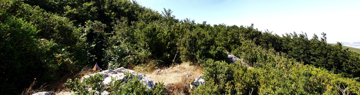 Bagadigorriko gailurra (Alaitz)