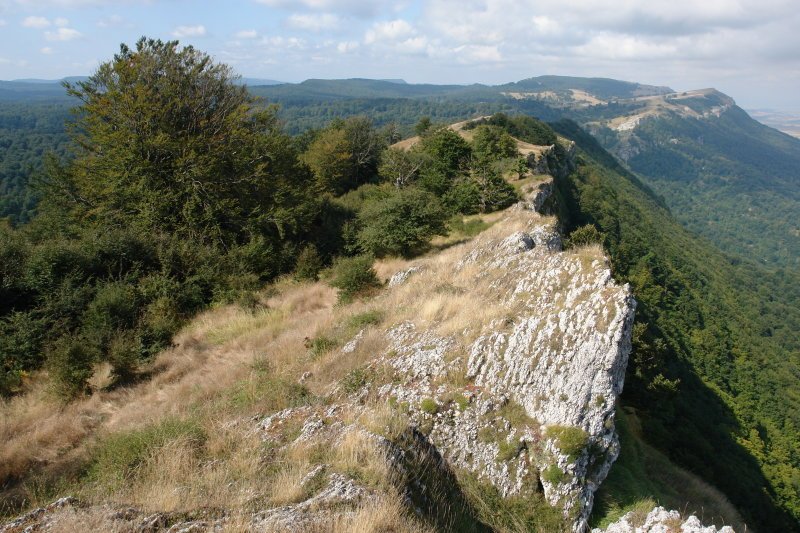 Bigatetik Mra begira