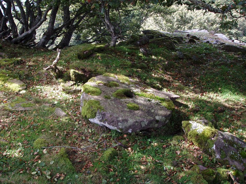 Errotarria gailurrean