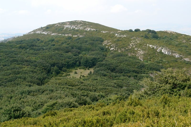 Orrontze Orraunaunditik