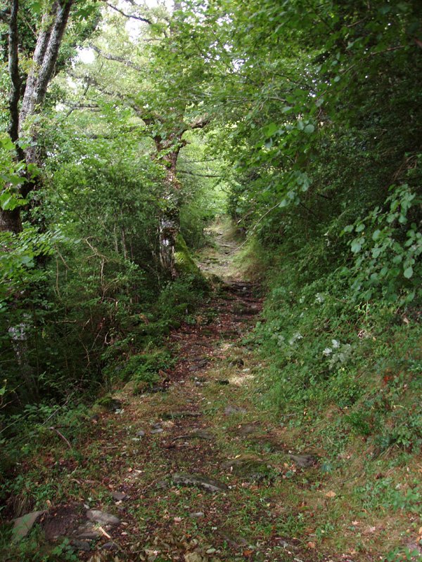 Orbarako bide zoragarria