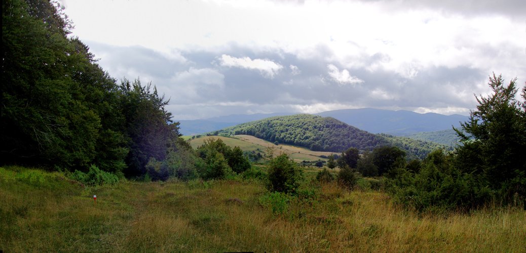 Mutria Latxagako bidetik