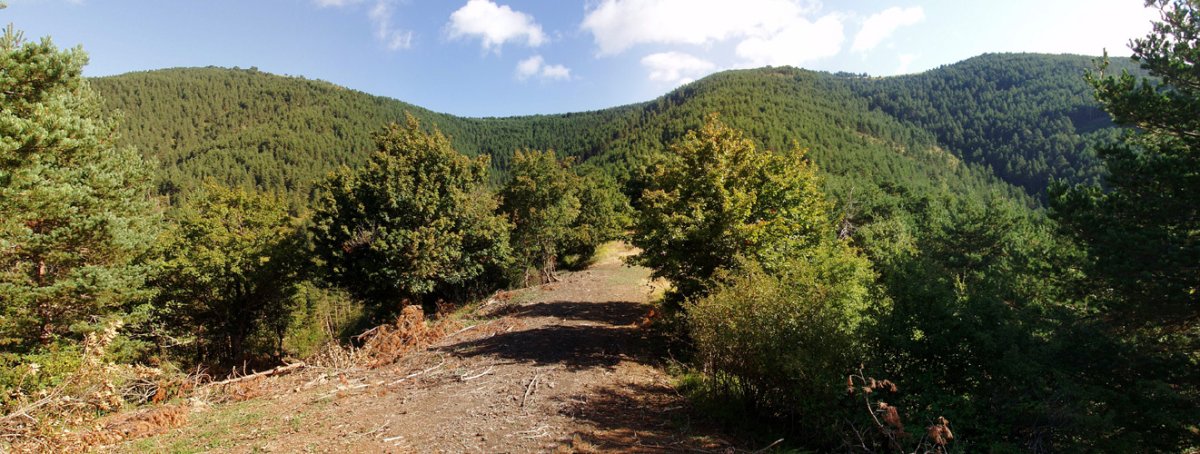 Izaberroako bidean gora