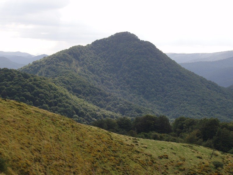 Mozoloandi Ezkandako lepotik