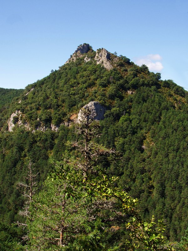 Iburtu haitza ekialdetik