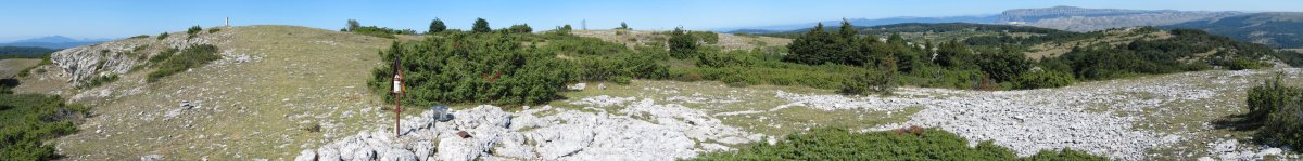 Tontorra eta inguruak