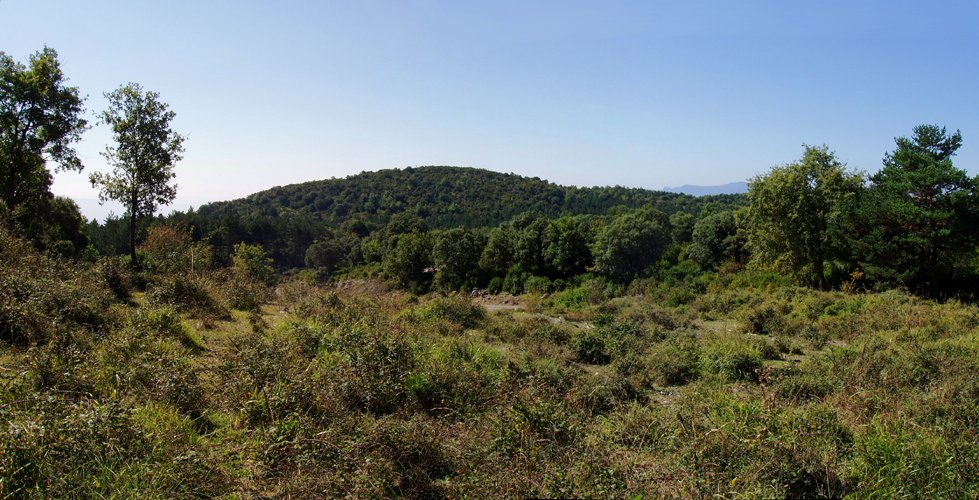 Zarikietako gailurra, Salbatoreko lepotik