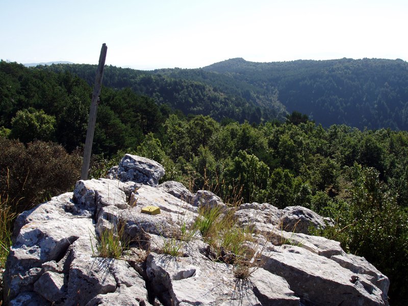 Gailurra eta Zarikieta