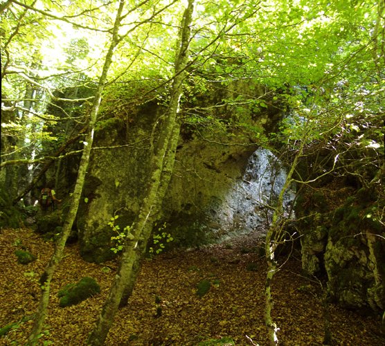 Harrizko zubia Kerezmendiko basoan
