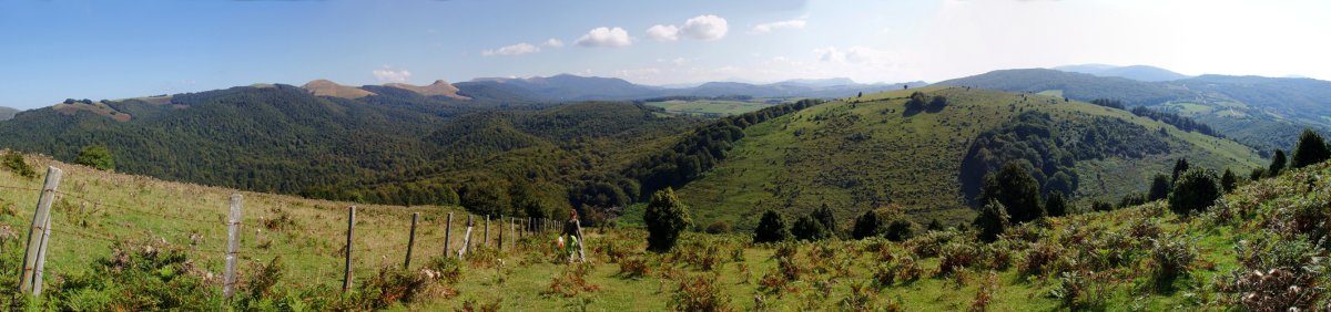 Mendibitarteko lepora jaisten