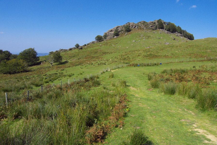 Aballarri Adarrako bidetik