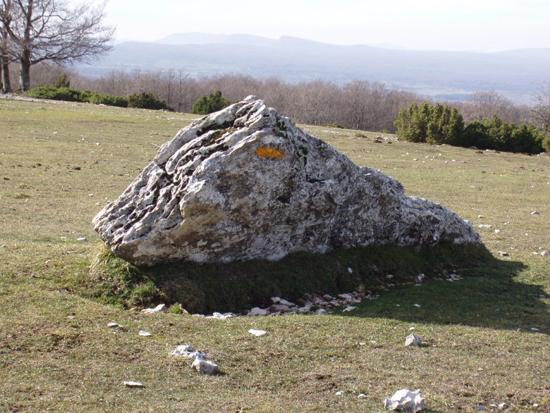 Otsopotilloko zutarria