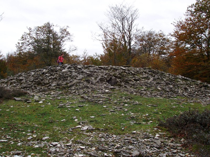 Arteko Saroko trikuharri ikusgarria