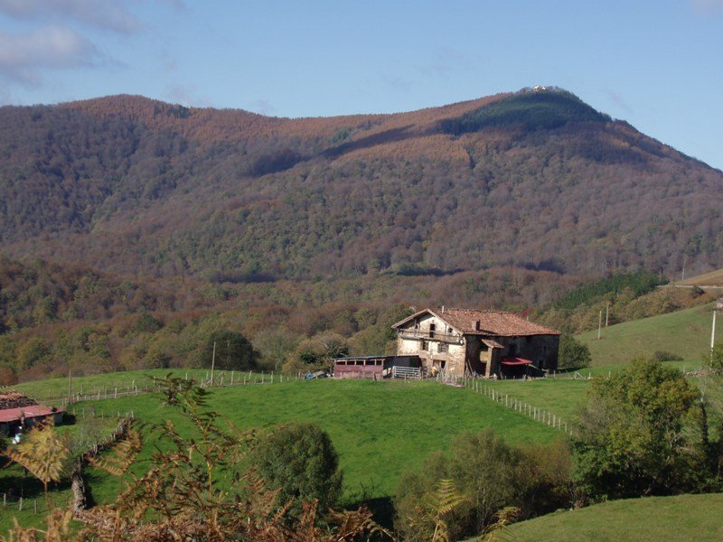 Aizkolegi Orabideatik