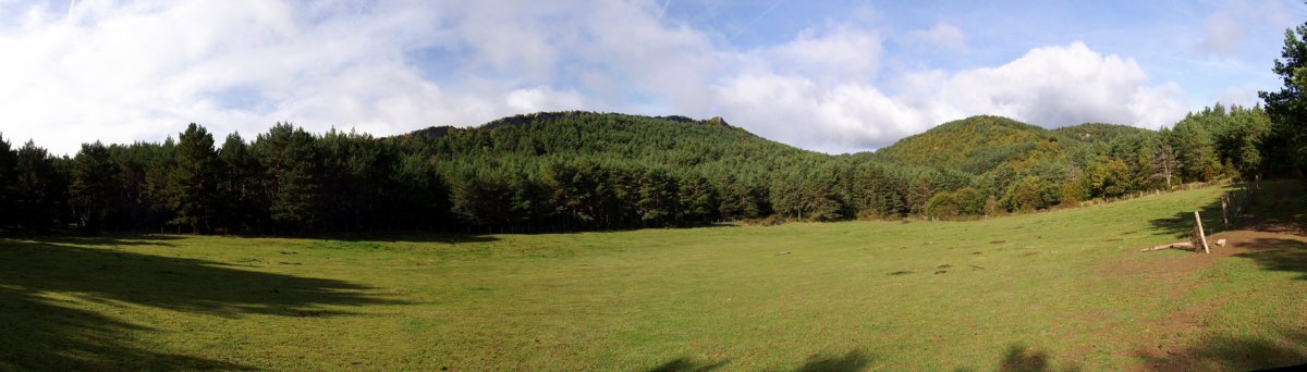 Lareki Belka lepotik