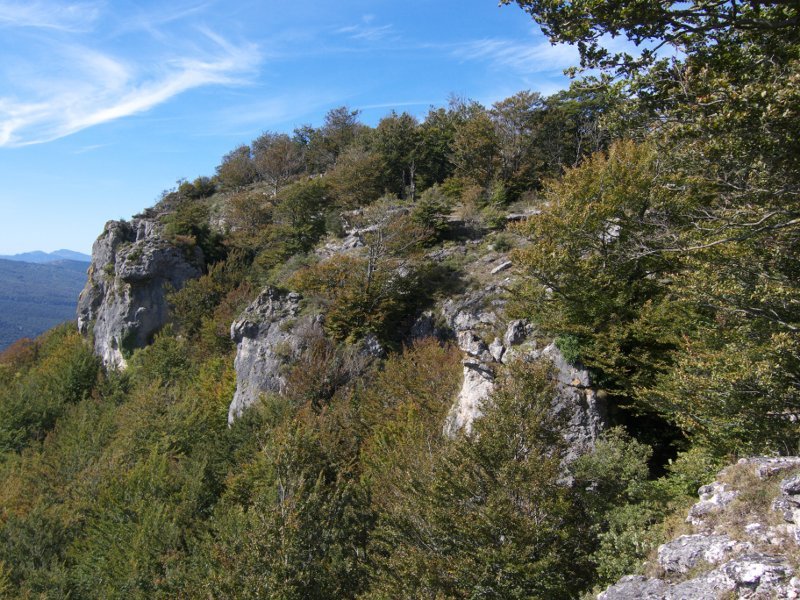 Mendebaldeko amildegiak