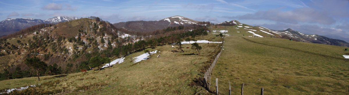 Laztegi, Okoro, Artsal eta Argintzu Enekorri lepoko inguruetatik