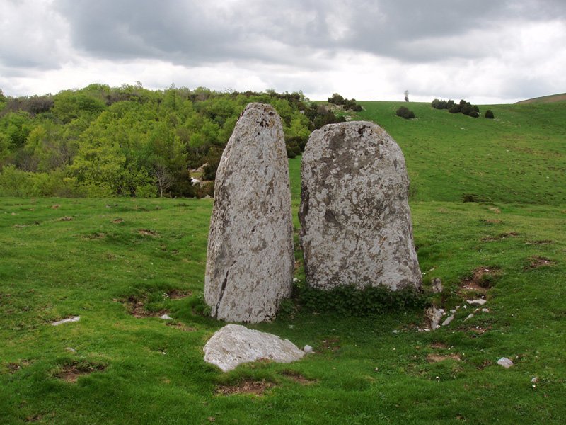 Arriluze trikuharria