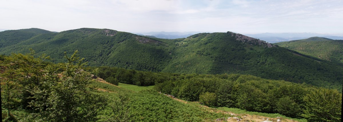 Burdindogi eta Egide Erregerenatik