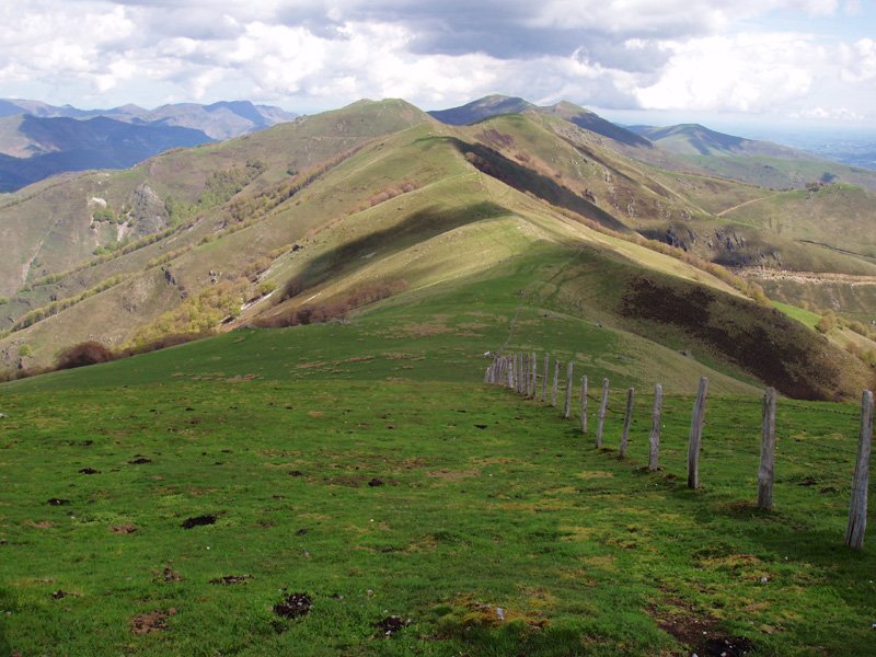 Argarai eta Mehatze Laurinagatik 