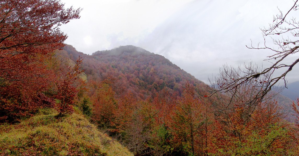 Mozoloandi Morateko lepotik