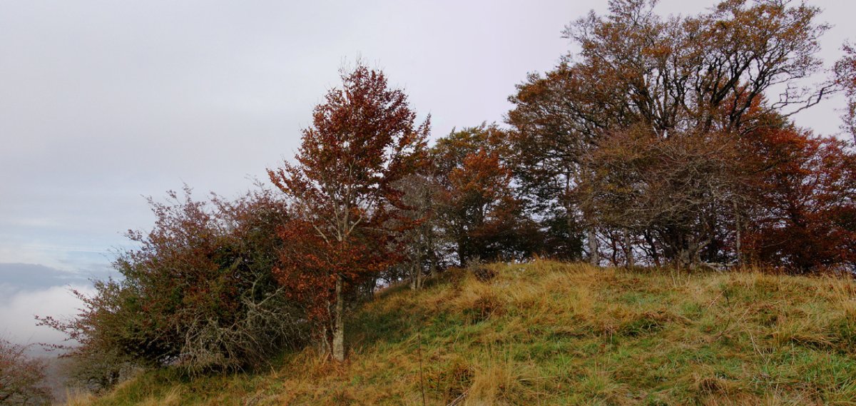 Mozoloandiko gailurra