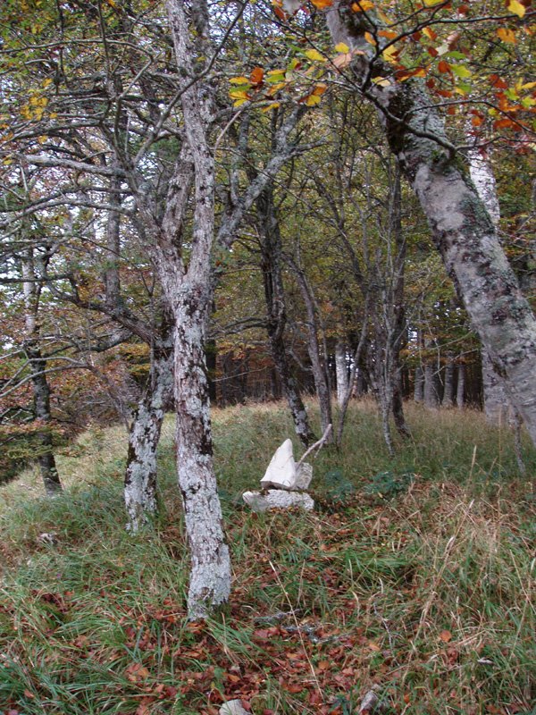 Mozolotxikiko gailurra