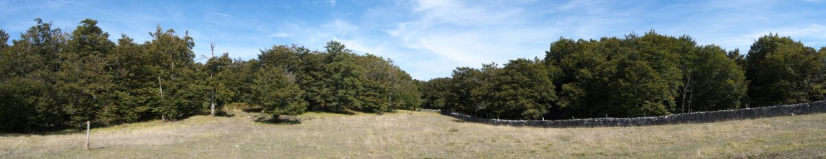 Larre eremua, pagadiaz inguratua