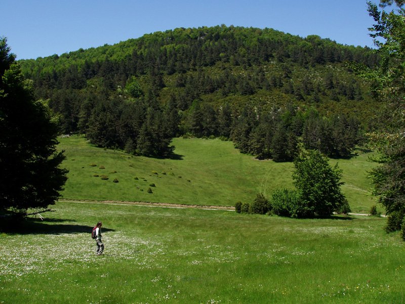 Araxamendi iparraldetik, Arlazuriako larreetatik