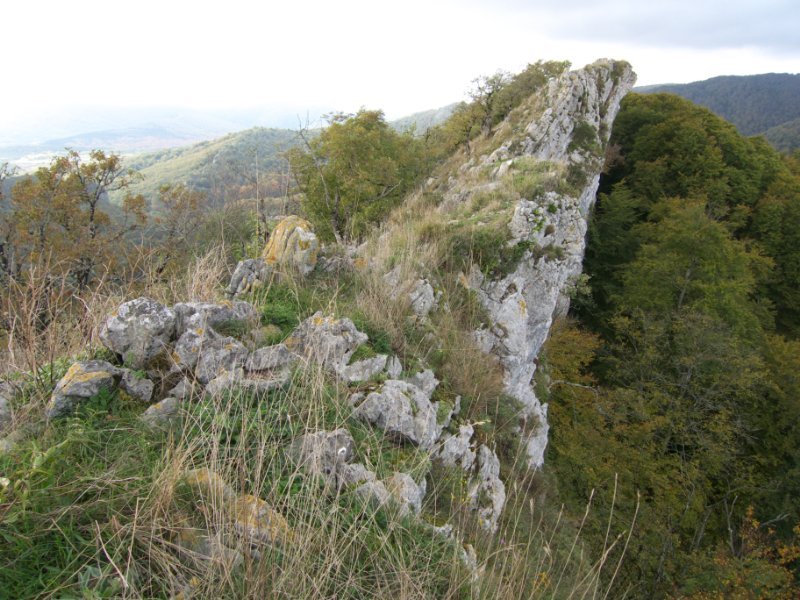 Ekialdeko gandorreko pasartea