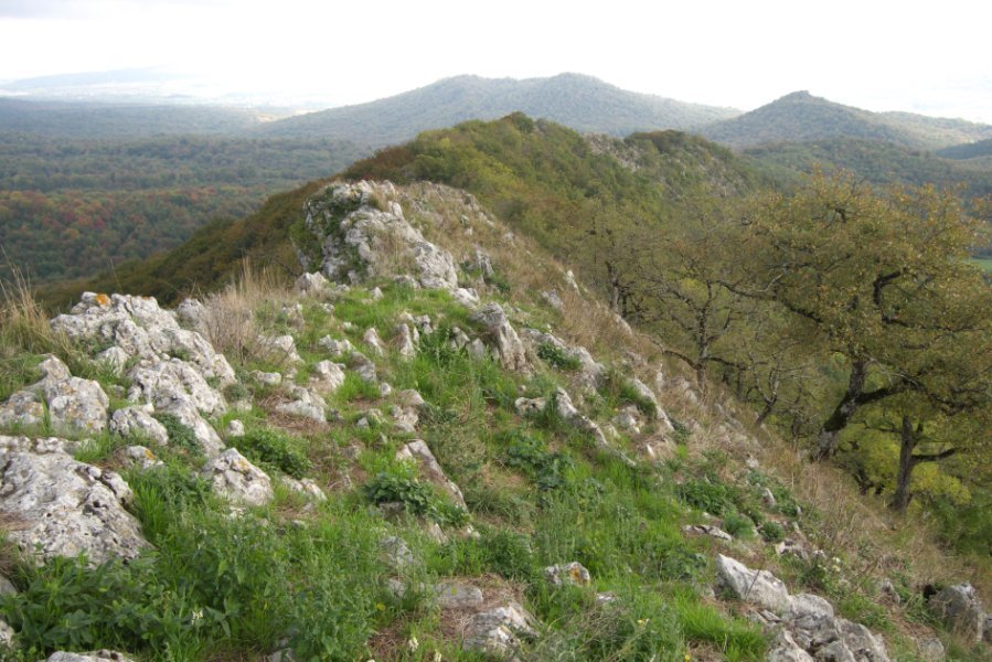 Tontorretik Ekialdera begira