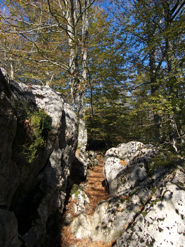 GR20aren pasarte bat