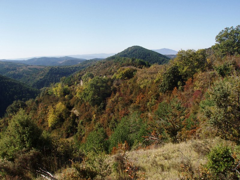 Zerrenkano Goiti herri despopulatuko hondakinak, sasiek irentsita