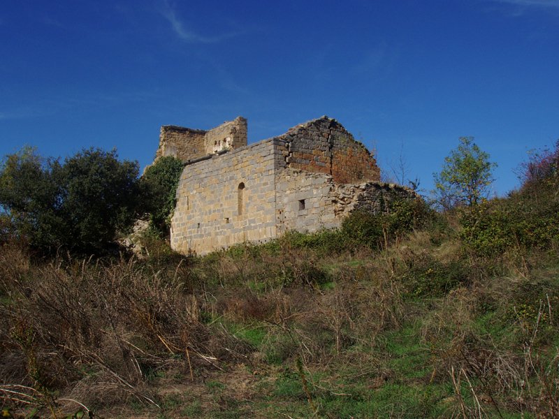 Otsako elizaren hondakinak