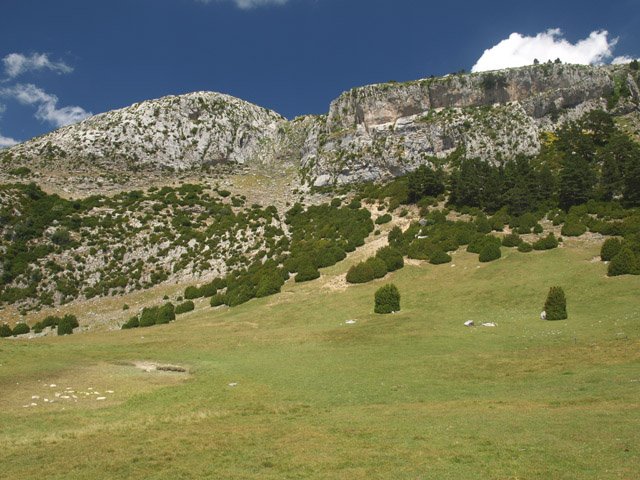 La Trapa-ko belardiak