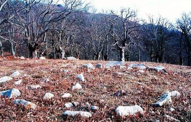 Faageko Errekako harrespila