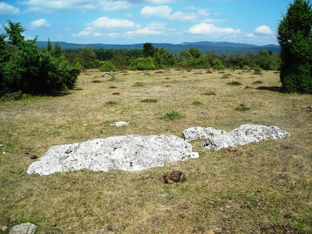 Las Campanas zutarria