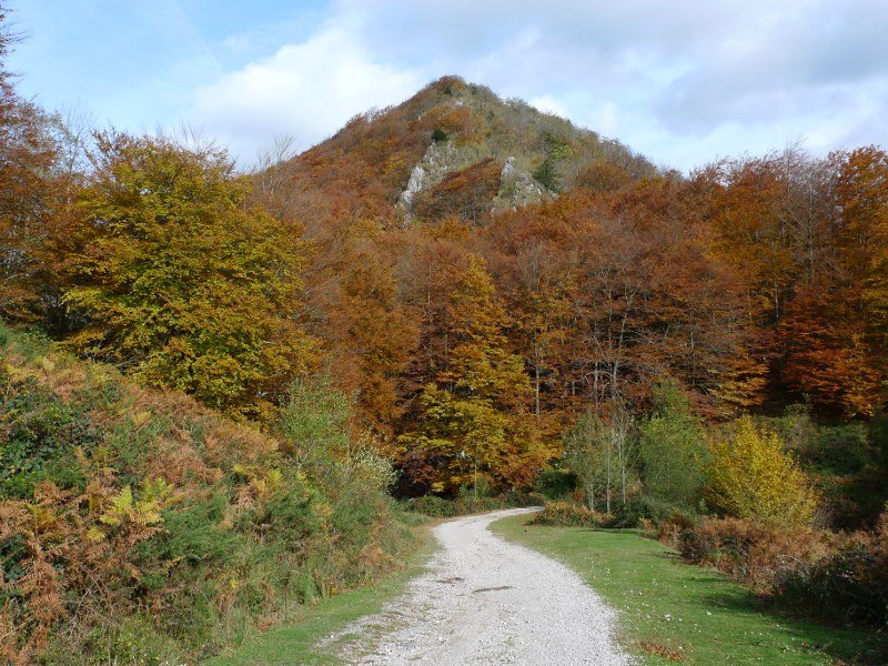 Bihurgune horretan zegoen nonbait trikuharria