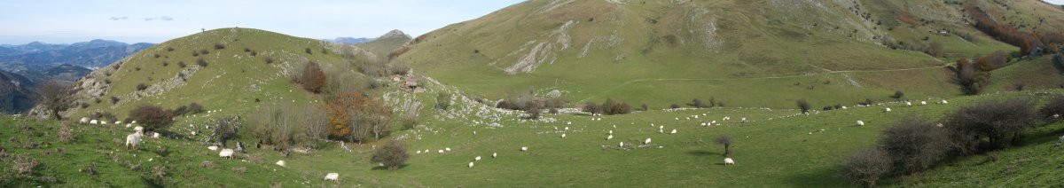 Arrastaran bailarako ikuspegi bat