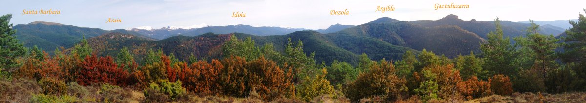 Panorama Igari mendateko bidetik