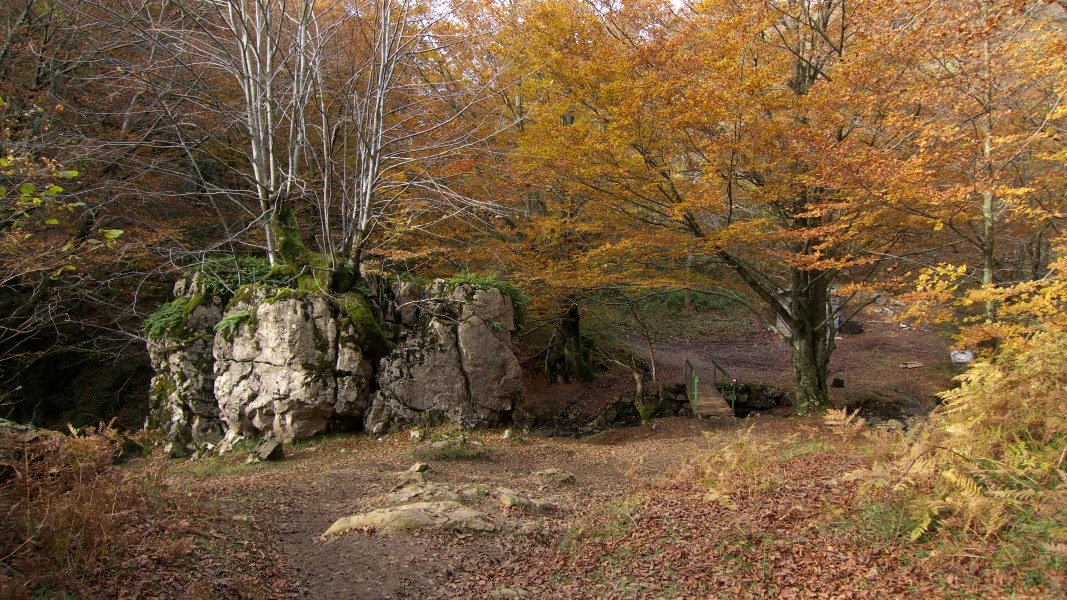 Lizarrusti eta Lareo arteko bideko pasarte bat