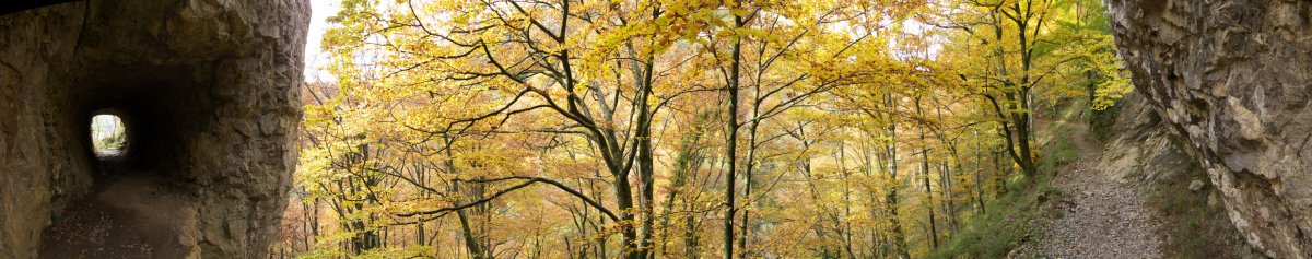 Lizarrusti eta Lareo arteko bideko pasarte bat
