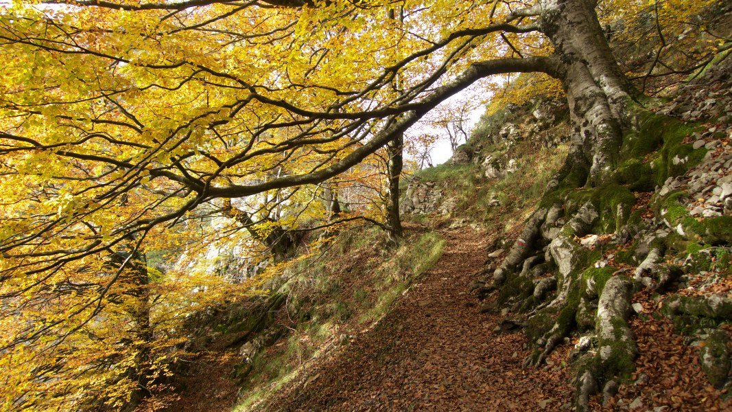 Lizarrusti eta Lareo arteko bideko pasarte bat