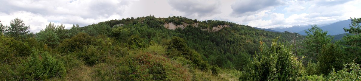 Arain hegoaldeko lepotik