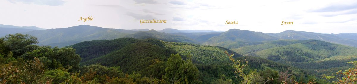 Panoramika Araingo gailurretik